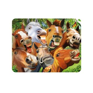 Obrázek z Magnet 3D 7x9cm - blázniví koně (25) 